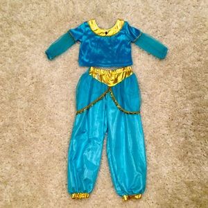 Little Adventures Aladdin Jasmine Costume